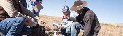 Four people surveying a large field